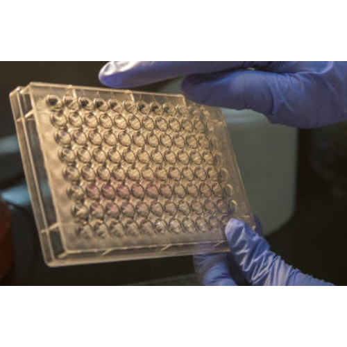 ELISA  ADGRG3 Antibody, FITC  