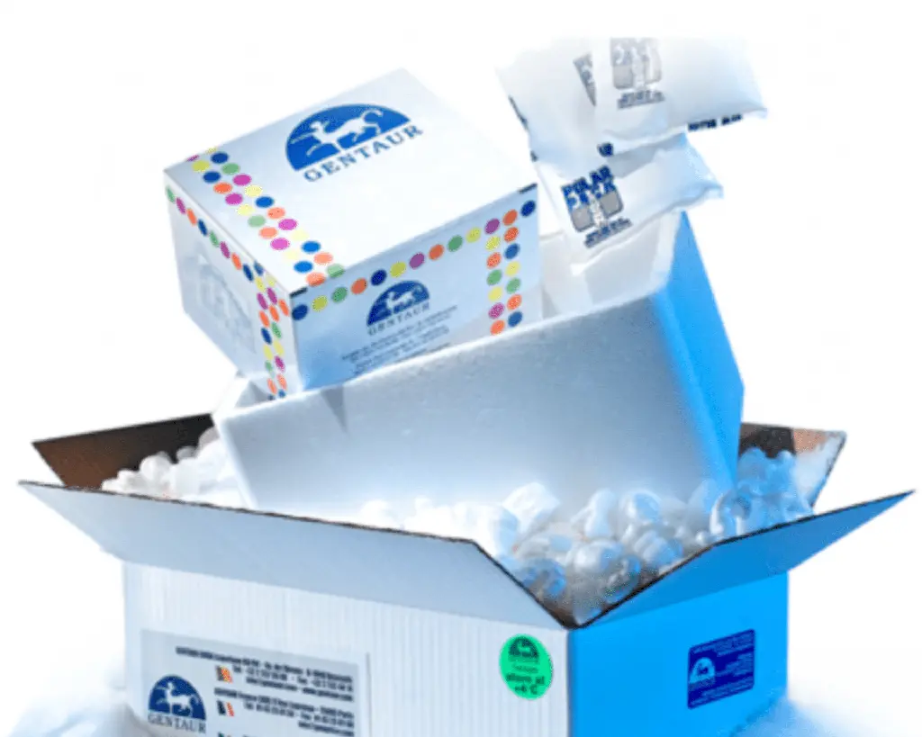 A2ML1 elisa kit :: Human Alpha-2-Macroglobulin-Like Protein 1 (A2ML1) ELISA Kit - 96 Tests