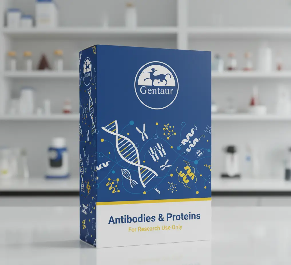 Anti-ldhL1 antibody : Rabbit Lactobacillus plantarum L-lactate dehydrogenase 1 Polyclonal Antibody