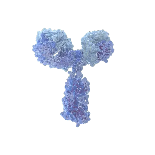 CDK4 & CDKN1B Protein Protein Interaction Antibody Pair