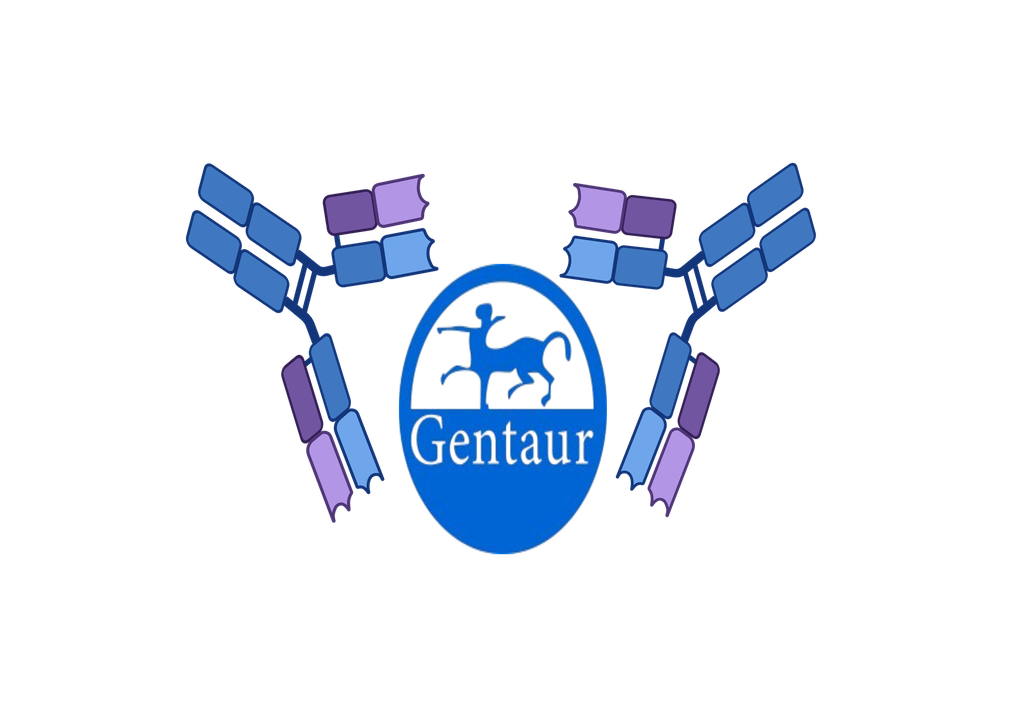 Anti-Coli O 18  monospecific