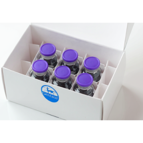 BIOEASY Diagnostic Kit for Coronavirus (COVID-19) Ag Test Kit