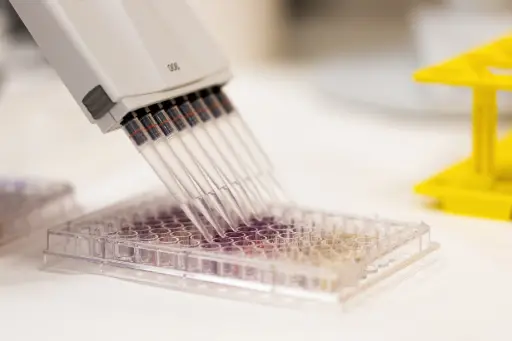 armadillo plate 384-Well PCR Plate, Red Frame, White Wells - 50 Plates